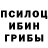 Псилоцибиновые грибы Psilocybe jackie bonds