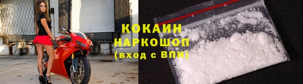 дживик Богородицк