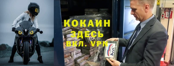дживик Богданович