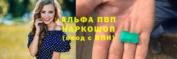 дживик Богданович