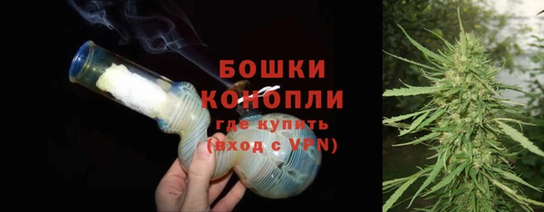 дживик Богородицк