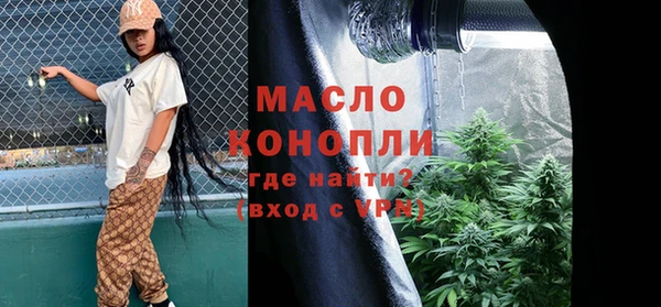 дживик Богородицк