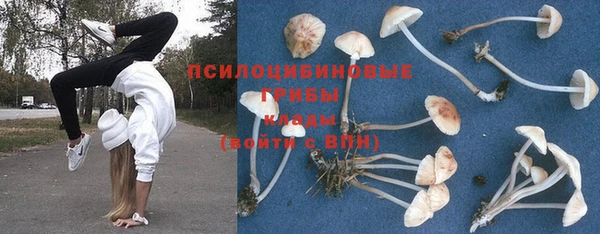 дживик Богородицк