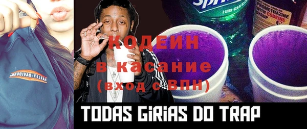 дживик Богородицк