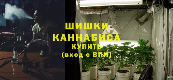 дживик Богданович
