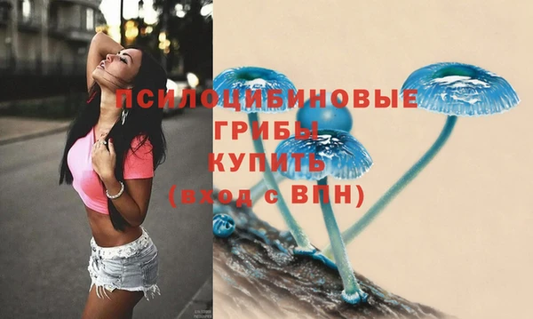 дживик Богданович