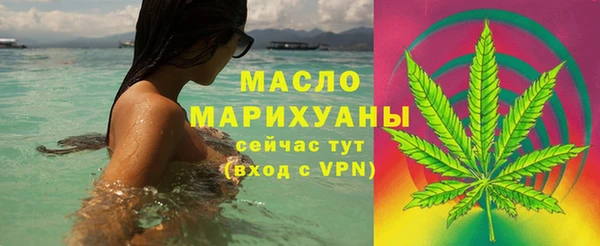дживик Богородицк