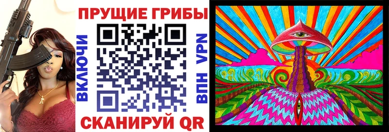 Галлюциногенные грибы Psilocybe  закладка  shop состав  Костерёво 